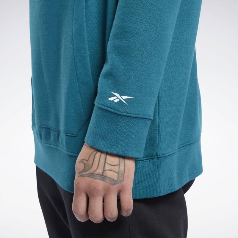 Man hoodie TE LINEAR LOGO OTH HOOD - FJ4680