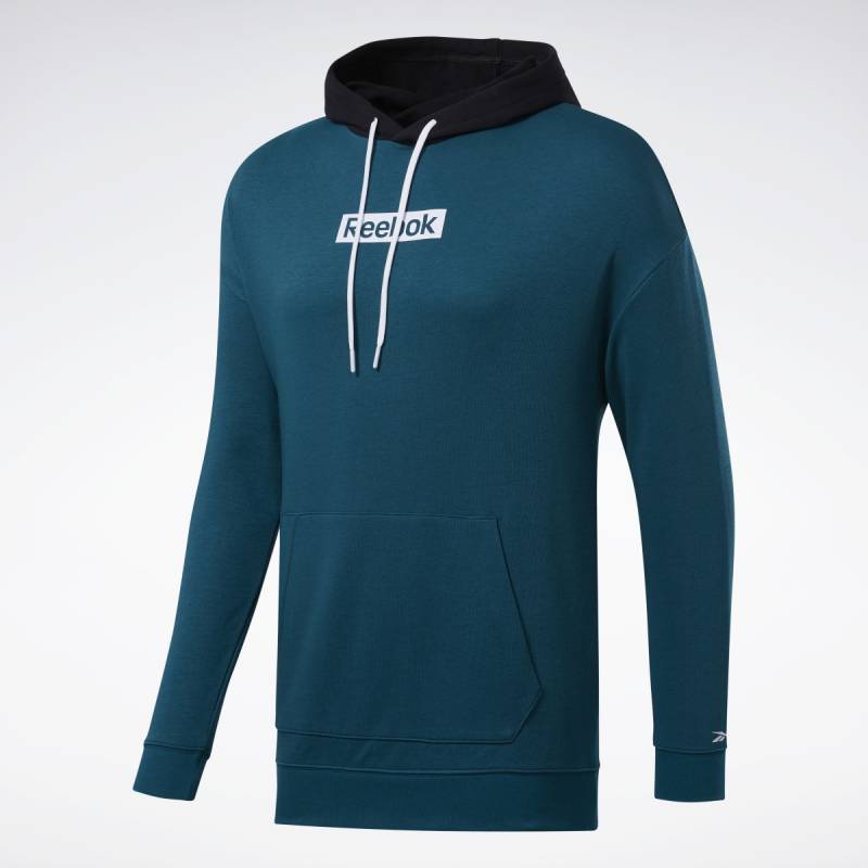 Man hoodie TE LINEAR LOGO OTH HOOD - FJ4680