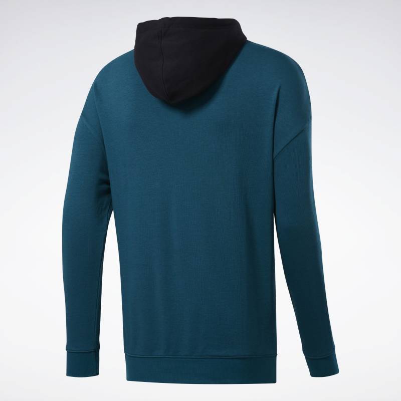 Man hoodie TE LINEAR LOGO OTH HOOD - FJ4680