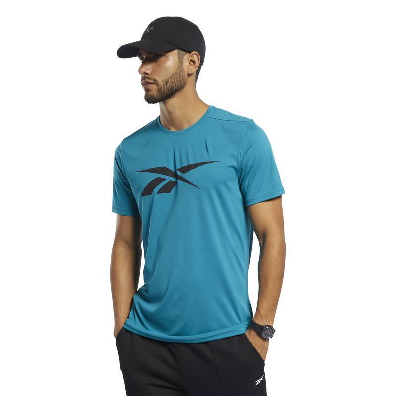 Pánské tričko Workout POLY GRAPHIC SS TEE - FJ4051