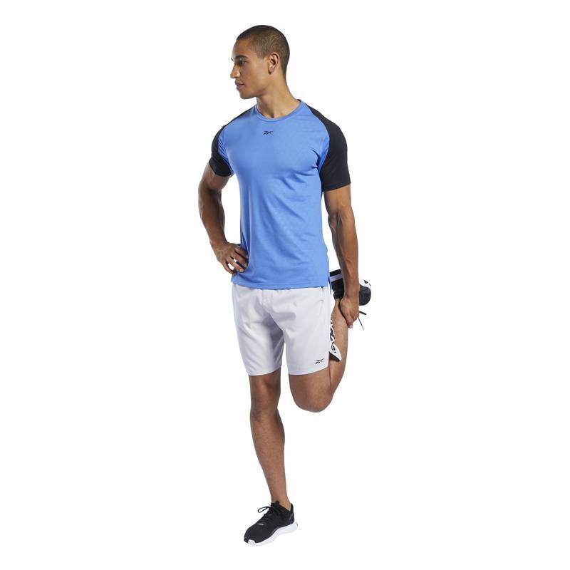 Pánské šortky TS Epic Ltwt Short 6MO - FK6327