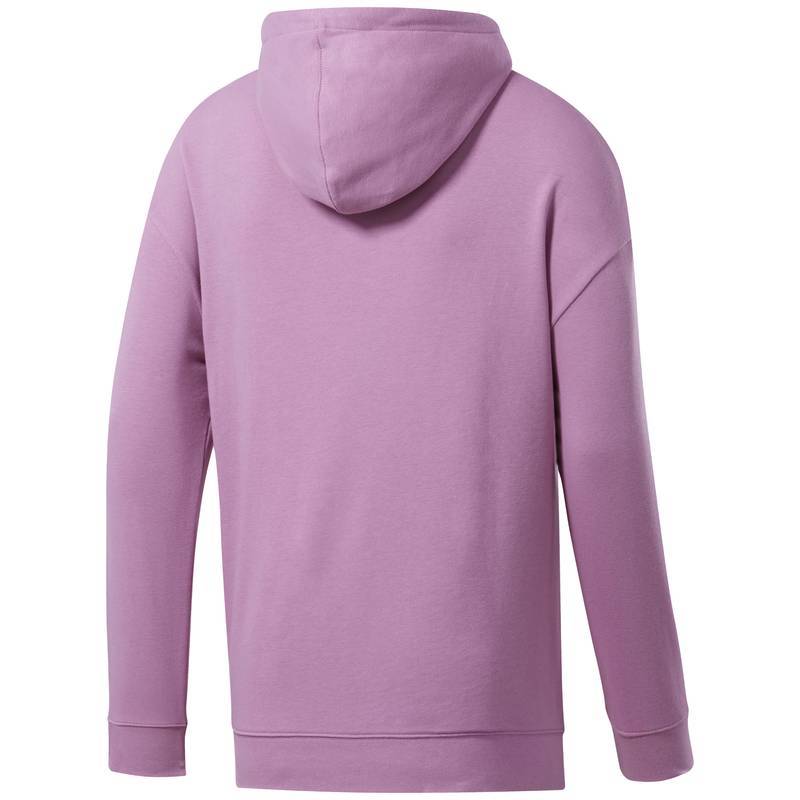 Pánská mikina TE LINEAR LOGO OTH HOOD - FK6111