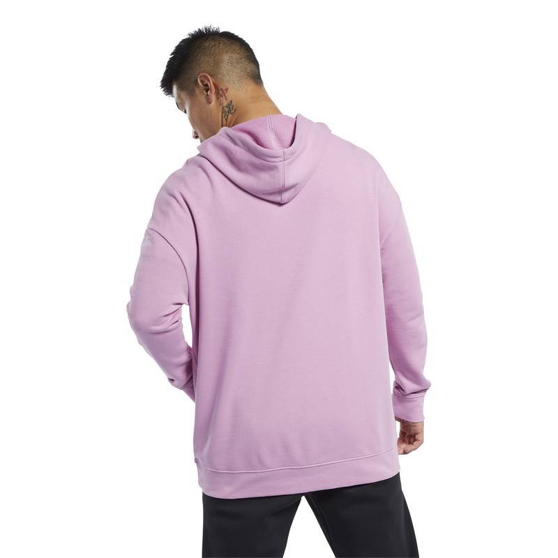 Man hoodie TE LINEAR LOGO OTH HOOD - FK6111