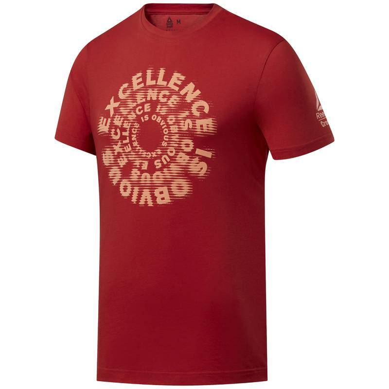 Man T-Shirt Reebok CrossFit Excellence is Obvious - FJ5283
