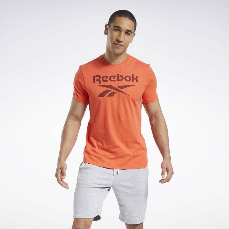 Pánské tričko GS Reebok Stacked Tee - FP9143