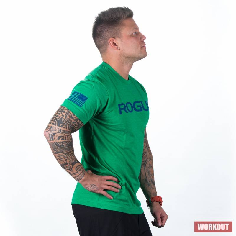 Pánské tričko Rogue Basic - zelené