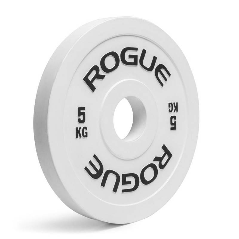 Kotouč Rogue 5 kg - 2 kusy