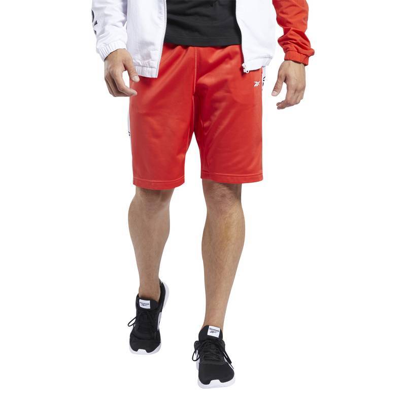 Pánské šortky TE LINEAR LOGO SHORT - FK6110