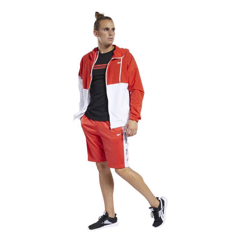 Man Shorts TE LINEAR LOGO SHORT - FK6110