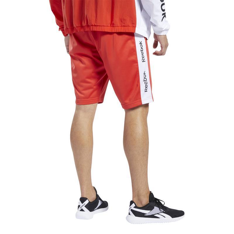 Man Shorts TE LINEAR LOGO SHORT - FK6110