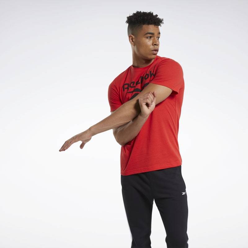 Pánské tričko RI Big Logo Tee - FP9148