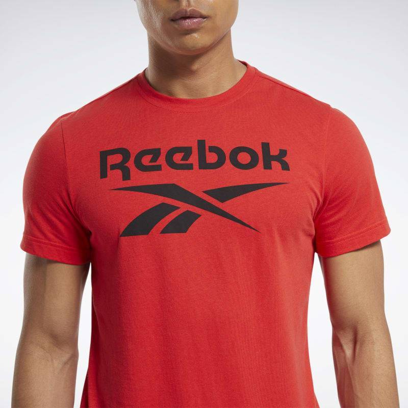 Pánské tričko RI Big Logo Tee - FP9148