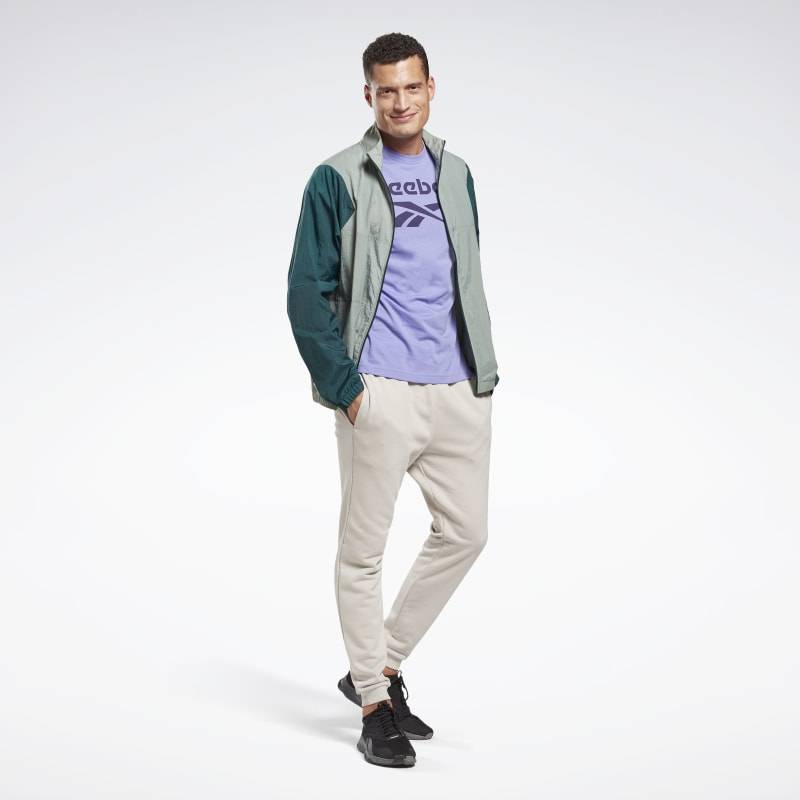 Pánské tričko RI Big Logo Tee - GI8517