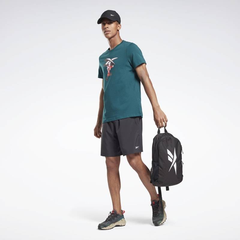 Pánské tričko Reebok Holiday - green - GR9181