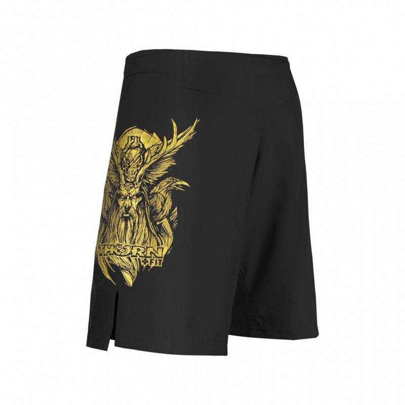 Man training Shorts COMBAT 2.0 Training Shorts Odin