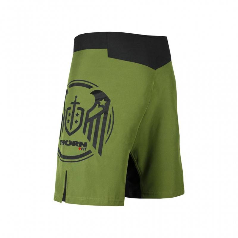 Pánské tréninkové šortky COMBAT 2.0 Training Shorts wings