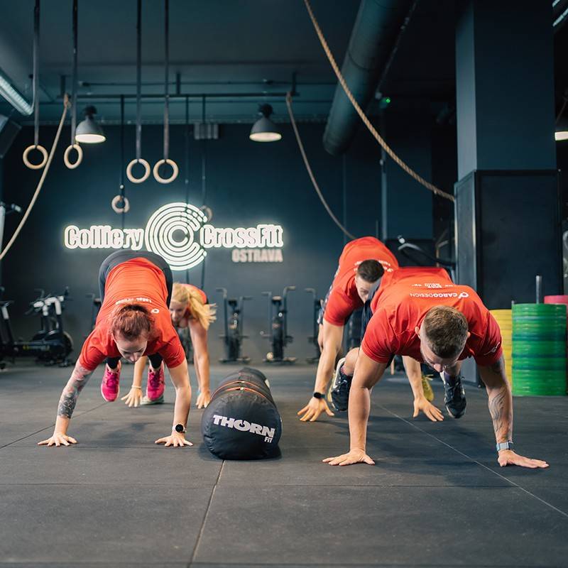 ThornFit 4-Person Worm (145 kg)