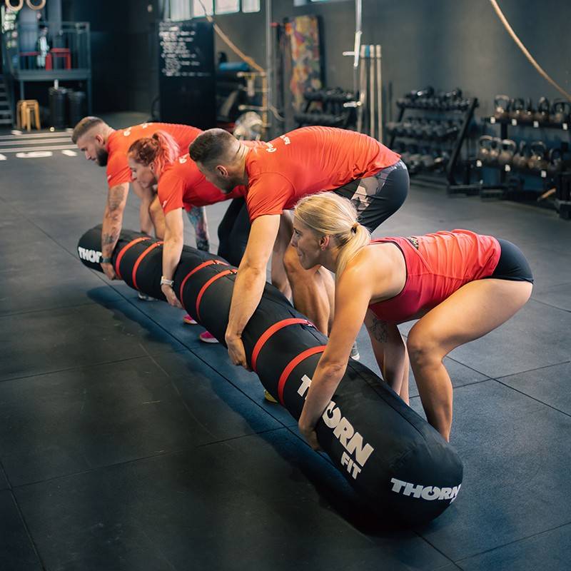 ThornFit 4-Person Worm (145 kg)