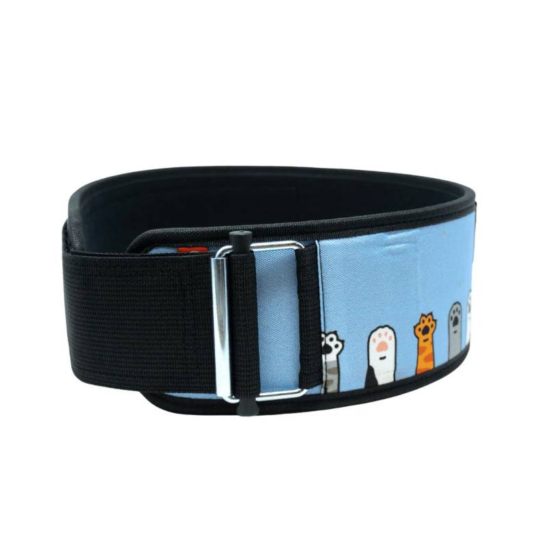 Weightlifting belt 2POOD - I am Feline Good