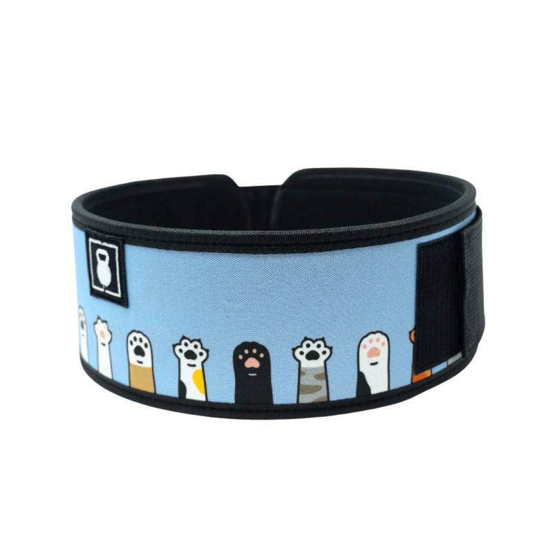 Weightlifting belt 2POOD - I am Feline Good