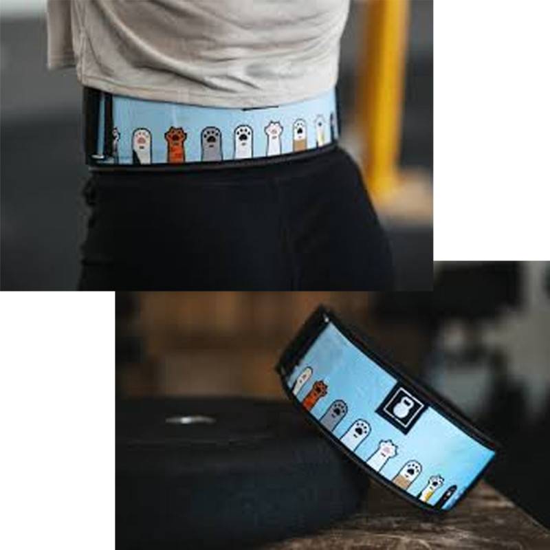 Weightlifting belt 2POOD - I am Feline Good