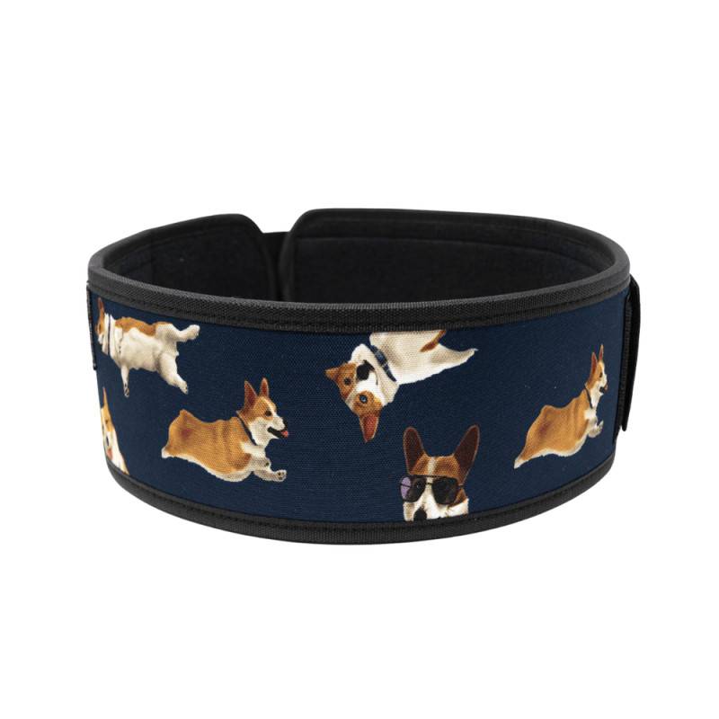 Weightlifting belt 2POOD - Winston the Corgi 2.0