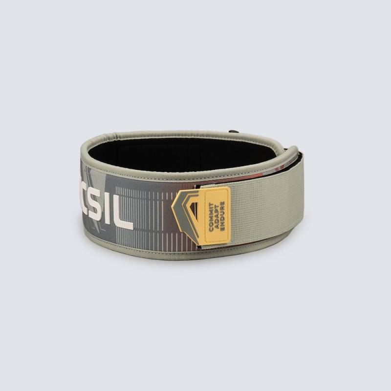 Cintura di sollevamento pesi Picsil Lock Pro - Fern