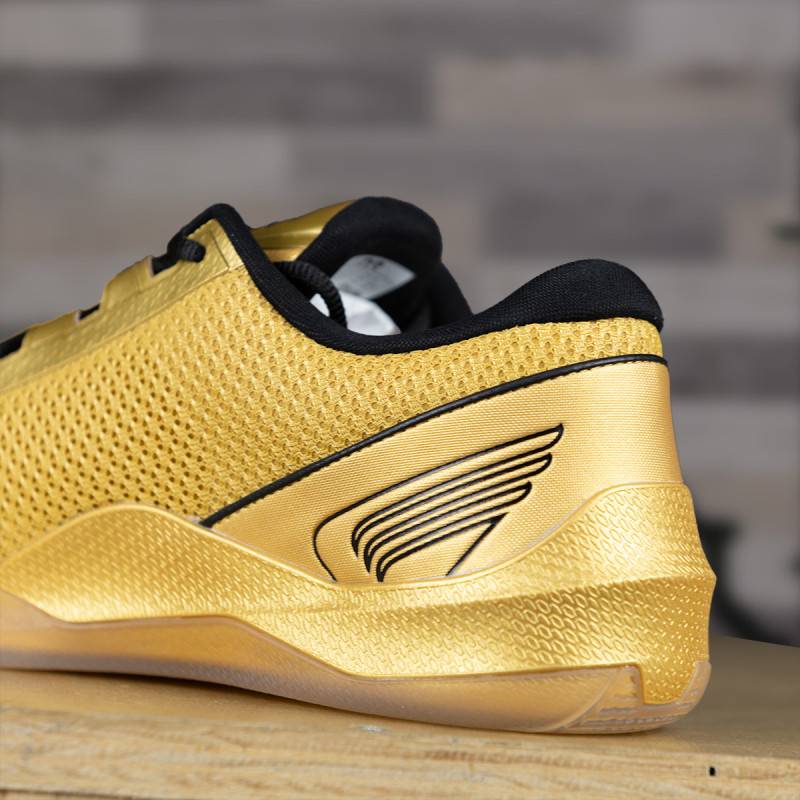 Damen CrossFit Trainingsschuhe TYR CXT-2 - gold