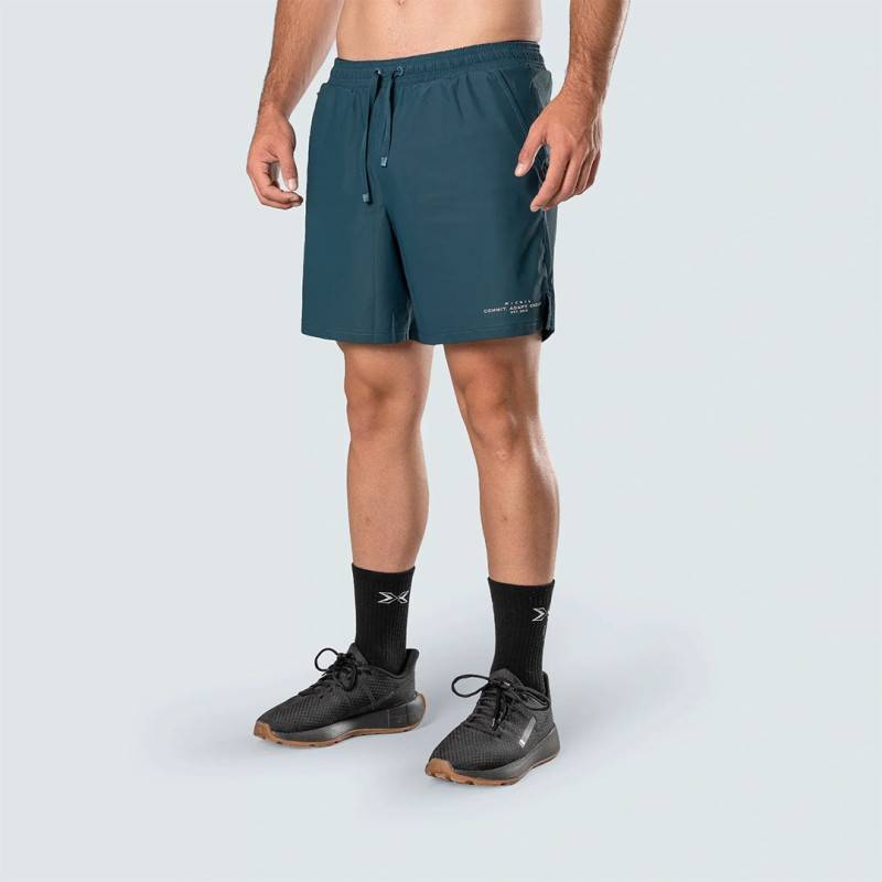 Picsil Essentials FY26 Herren-Shorts - blau