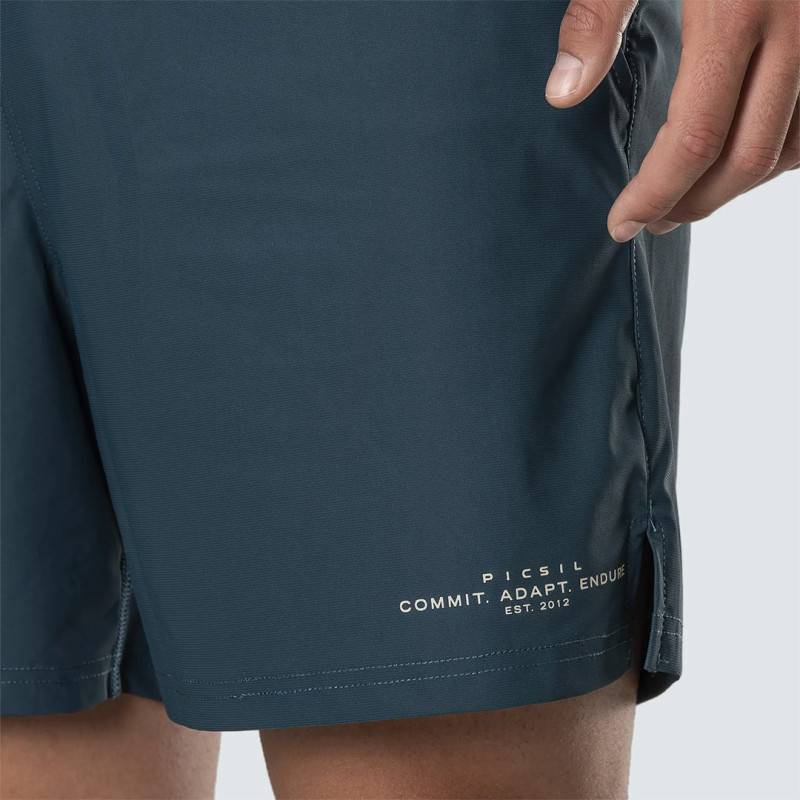 Picsil Essentials FY26 Herren-Shorts - blau