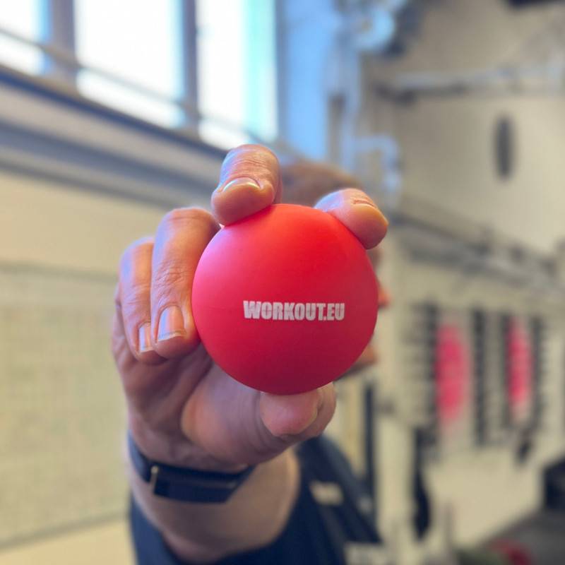 Massageball Lacrosse WORKOUT - rot