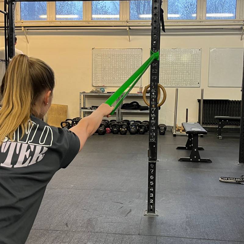 Odporová guma WORKOUT zelená - 45 kg