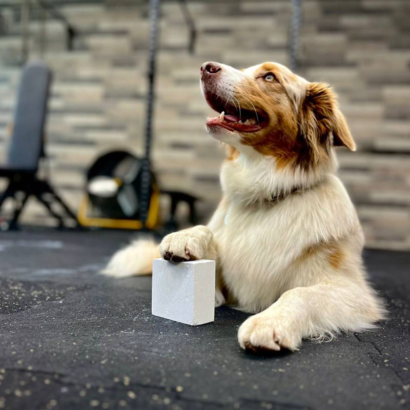 Magnesium cube 56g Chalk Block WORKOUT - 2 pieces